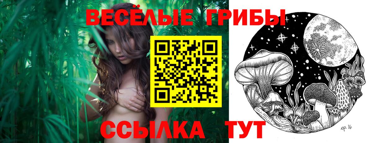 Псилоцибиновые грибы MAGIC MUSHROOMS  Вход с VPN  Волжский 